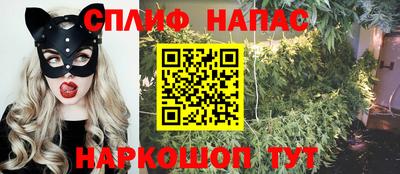 индика Лесосибирск