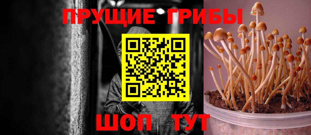 Галлюциногенные грибы GOLDEN TEACHER  Вход с VPN  Дзержинск 